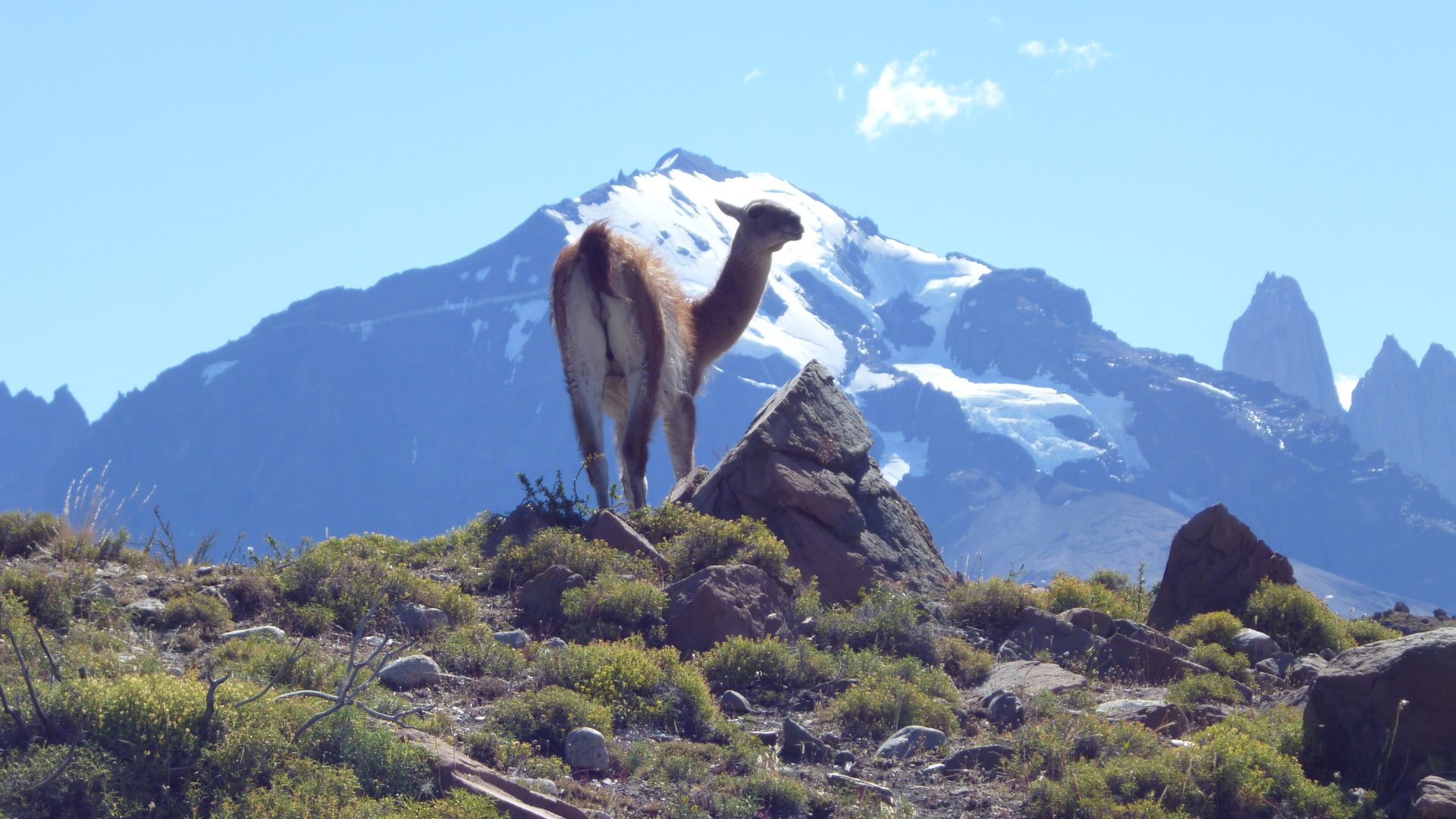 tour operators patagonia