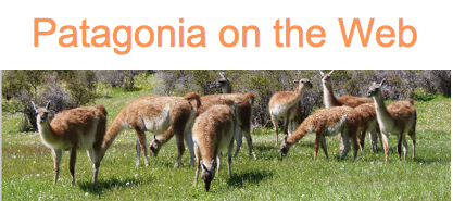 Patagonia on the Web - 8th August - Swoop Patagonia's Blog